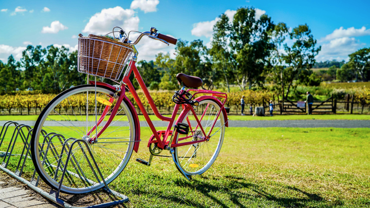 Red bike with a basket fit for purpose. get a £50 free vouchers to fix your bike