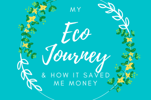 My eco journey & how going eco has saved me money by Lei Hang