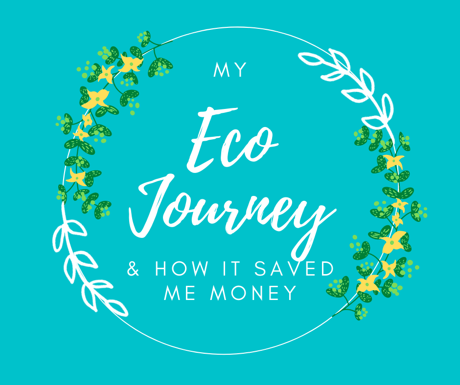 My eco journey & how going eco has saved me money by Lei Hang