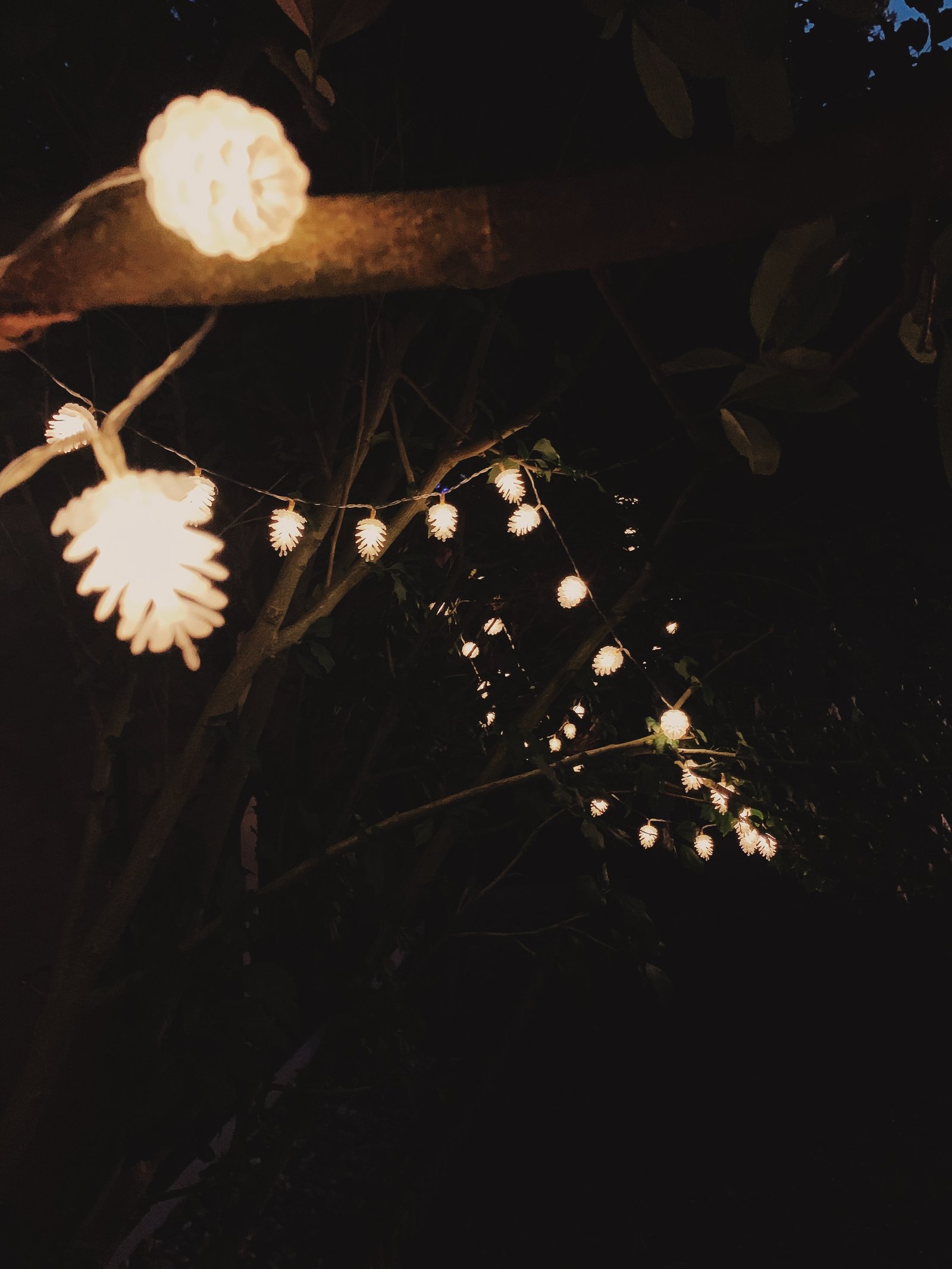 white pinecone solar fairy lights add ambience in the garden and saves money on energy bills.