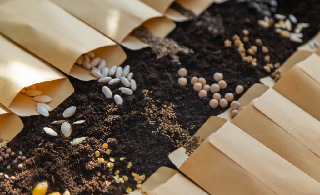 How to save seeds to plant for next year by Lei Hang